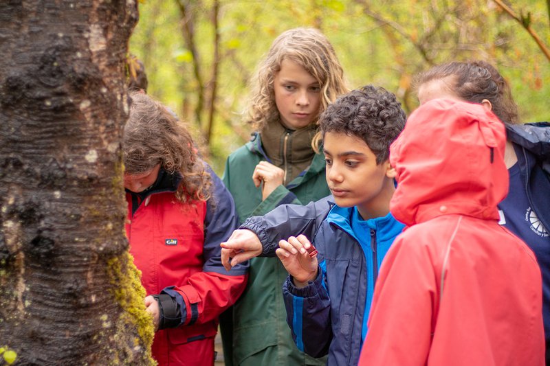 Six students in the woods, representing a mix of genders and ethnicities, stood around a tree.