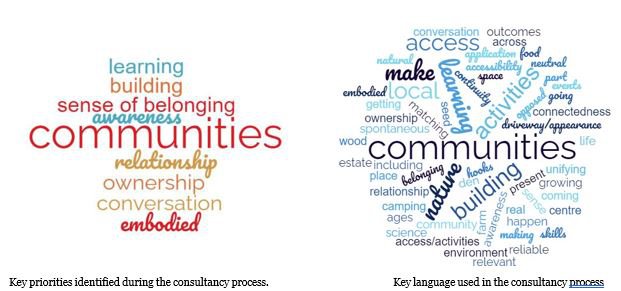 A graphic showing the words used for key priorities and languages used in the consultancy process.